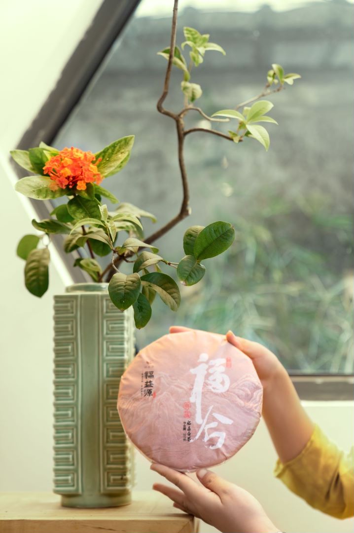 福益源▪太姥星